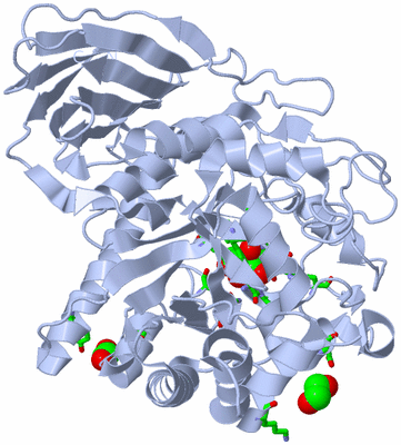 Image Biol. Unit 1 - sites