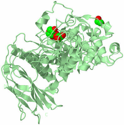 Image Biological Unit 2