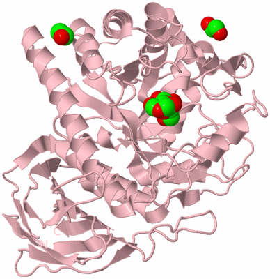 Image Biological Unit 3