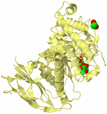 Image Biological Unit 4