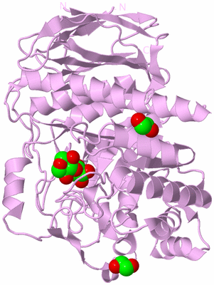 Image Biological Unit 5