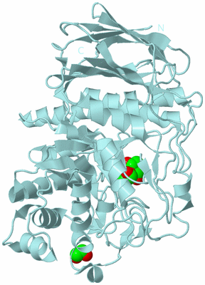 Image Biological Unit 6