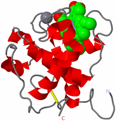 Image Asym./Biol. Unit