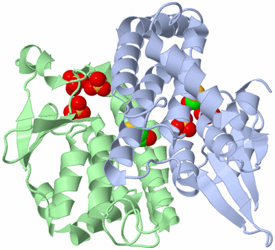 Image Asym./Biol. Unit