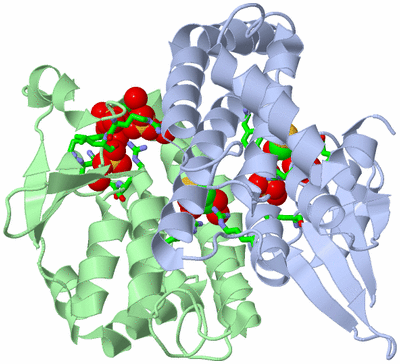 Image Asym./Biol. Unit - sites