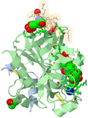 Image Asym./Biol. Unit - sites