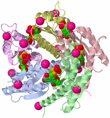 Image Asym./Biol. Unit