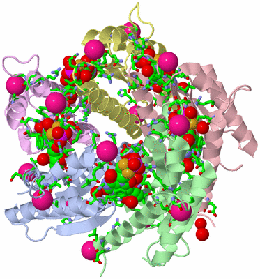 Image Asym./Biol. Unit - sites