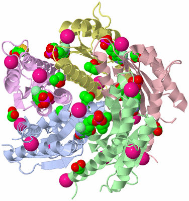 Image Asym./Biol. Unit