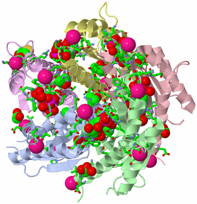 Image Asym./Biol. Unit - sites