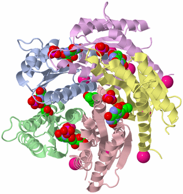 Image Biological Unit 1