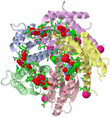 Image Biol. Unit 1 - sites