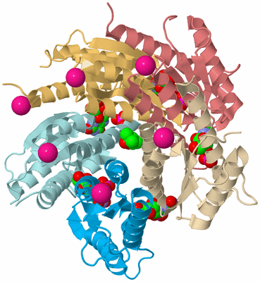 Image Biological Unit 2