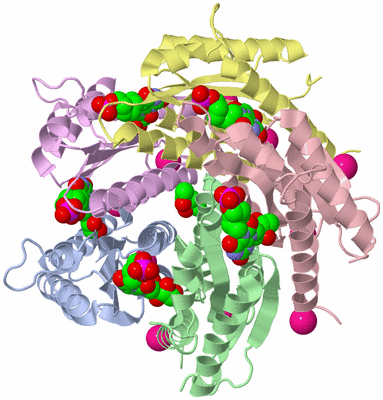 Image Biological Unit 1