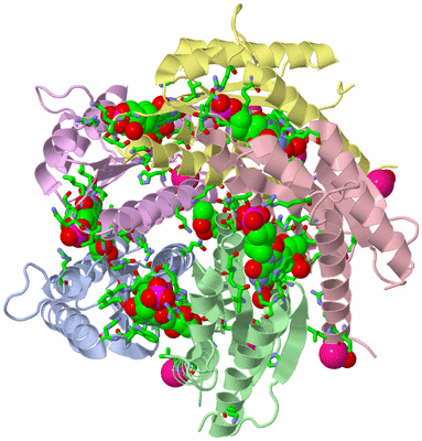 Image Biol. Unit 1 - sites