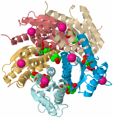 Image Biological Unit 2