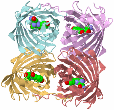 Image Biological Unit 1