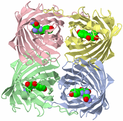 Image Biological Unit 2