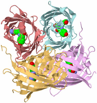 Image Biological Unit 1