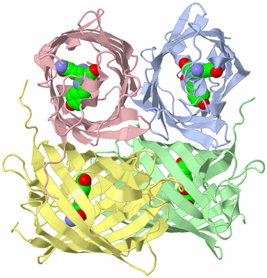 Image Biological Unit 2