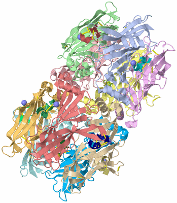 Image Asym./Biol. Unit