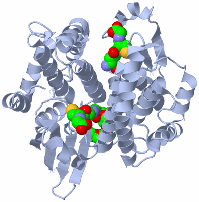 Image Biological Unit 1