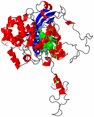 Image Asym. Unit - sites