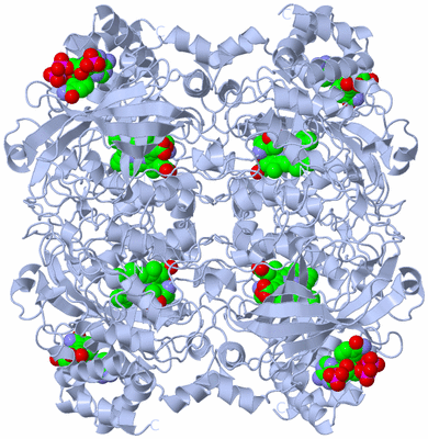 Image Biological Unit 1