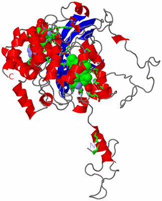 Image Asym. Unit - sites