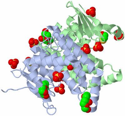 Image Asym./Biol. Unit