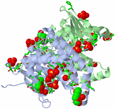 Image Asym./Biol. Unit - sites