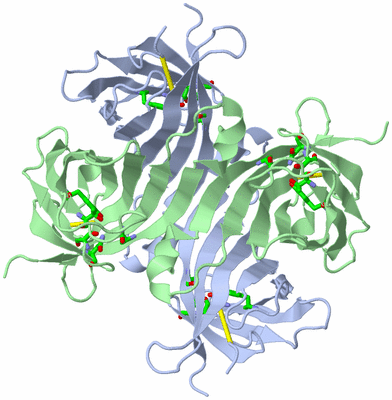 Image Biol. Unit 1 - sites