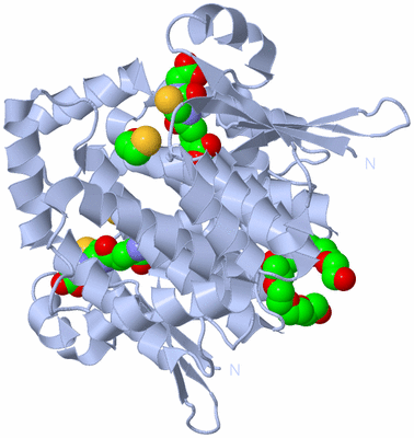 Image Biological Unit 1