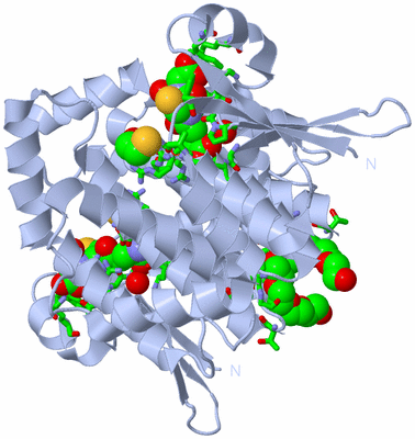 Image Biol. Unit 1 - sites