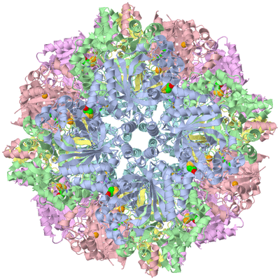 Image Biological Unit 1