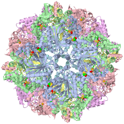 Image Biol. Unit 1 - sites