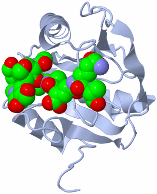 Image Biological Unit 1