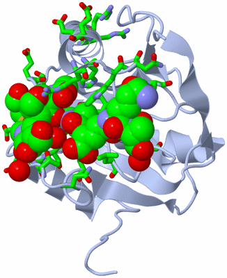 Image Biol. Unit 1 - sites