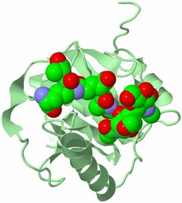 Image Biological Unit 2