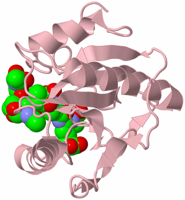 Image Biological Unit 3