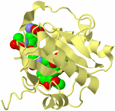 Image Biological Unit 4