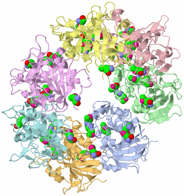 Image Biological Unit 1