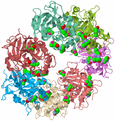 Image Biological Unit 2