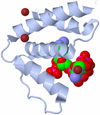 Image Biological Unit 1