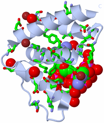 Image Biol. Unit 1 - sites