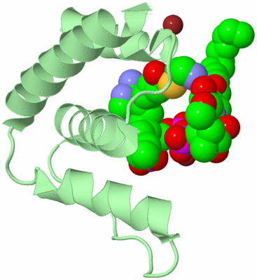 Image Biological Unit 2