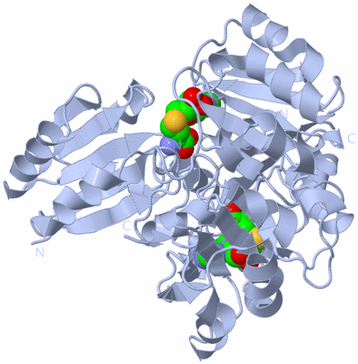 Image Biological Unit 1