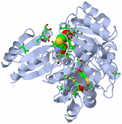 Image Biol. Unit 1 - sites