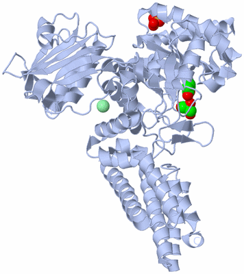 Image Biological Unit 1