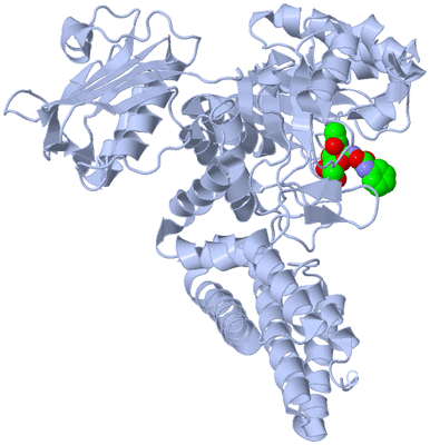 Image Biological Unit 1